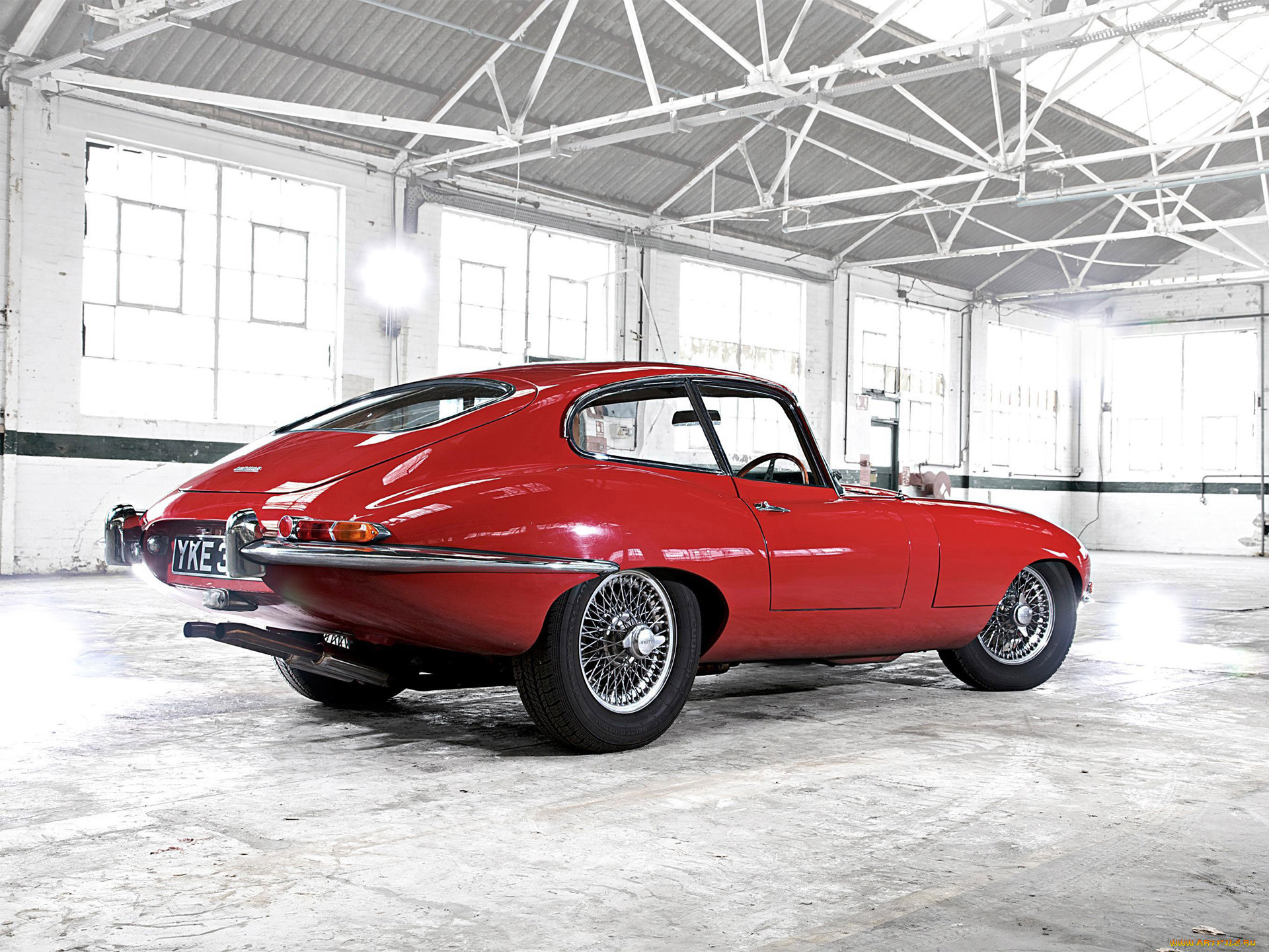 , jaguar
